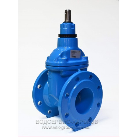 Задвижка клиновая чугунная фланцевая Hawle 4000 Dn65 Pn16