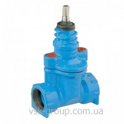 Вентиль запорный Hawle 2500 внутренняя резьба с двух сторон DN25